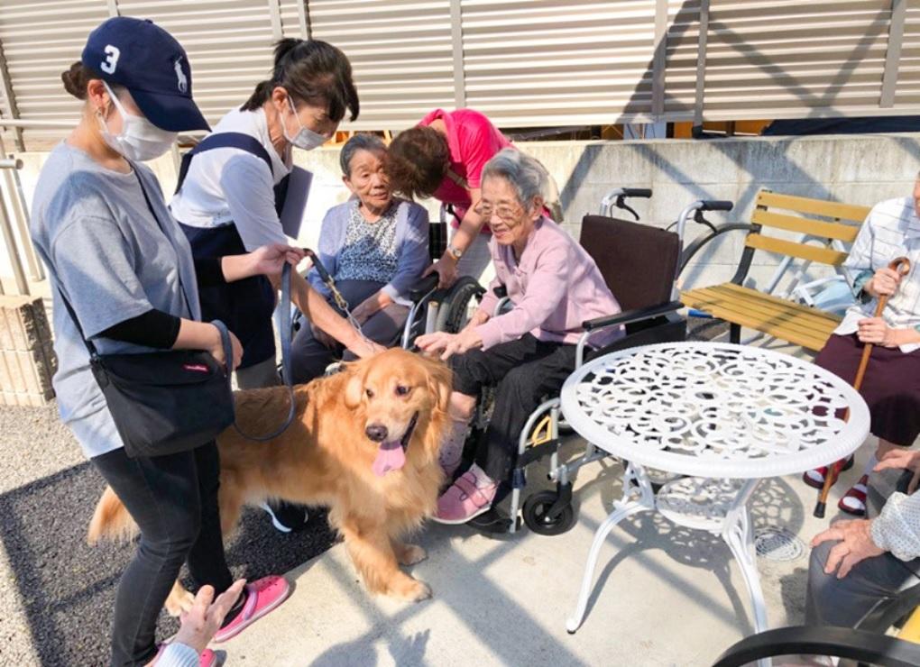 メディカル・ケア・サービス（学研グループ）|＜国分寺市＞愛の家グループホーム国分寺本多　介護職員契約社員