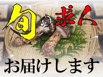 株式会社グリーンパレット|無資格OK！障がい者施設の生活支援員募集☆昇給賞与アリ☆未経験応相談