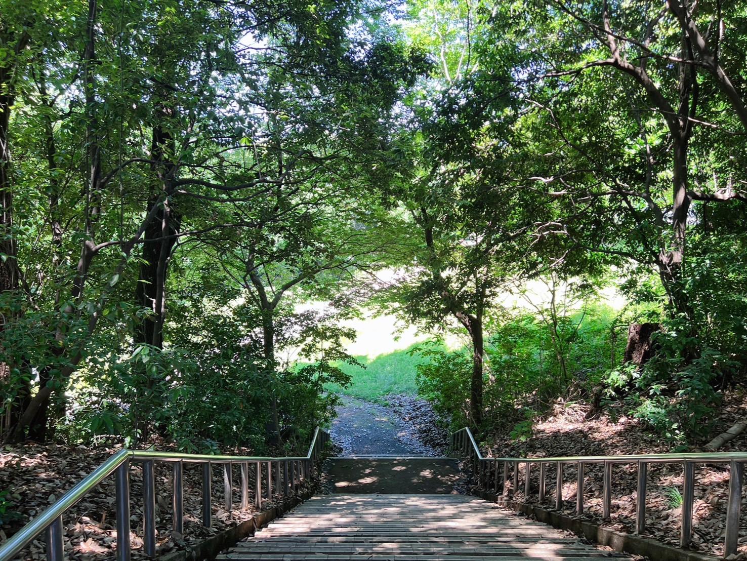 北医療生活協同組合|もりやま診療所