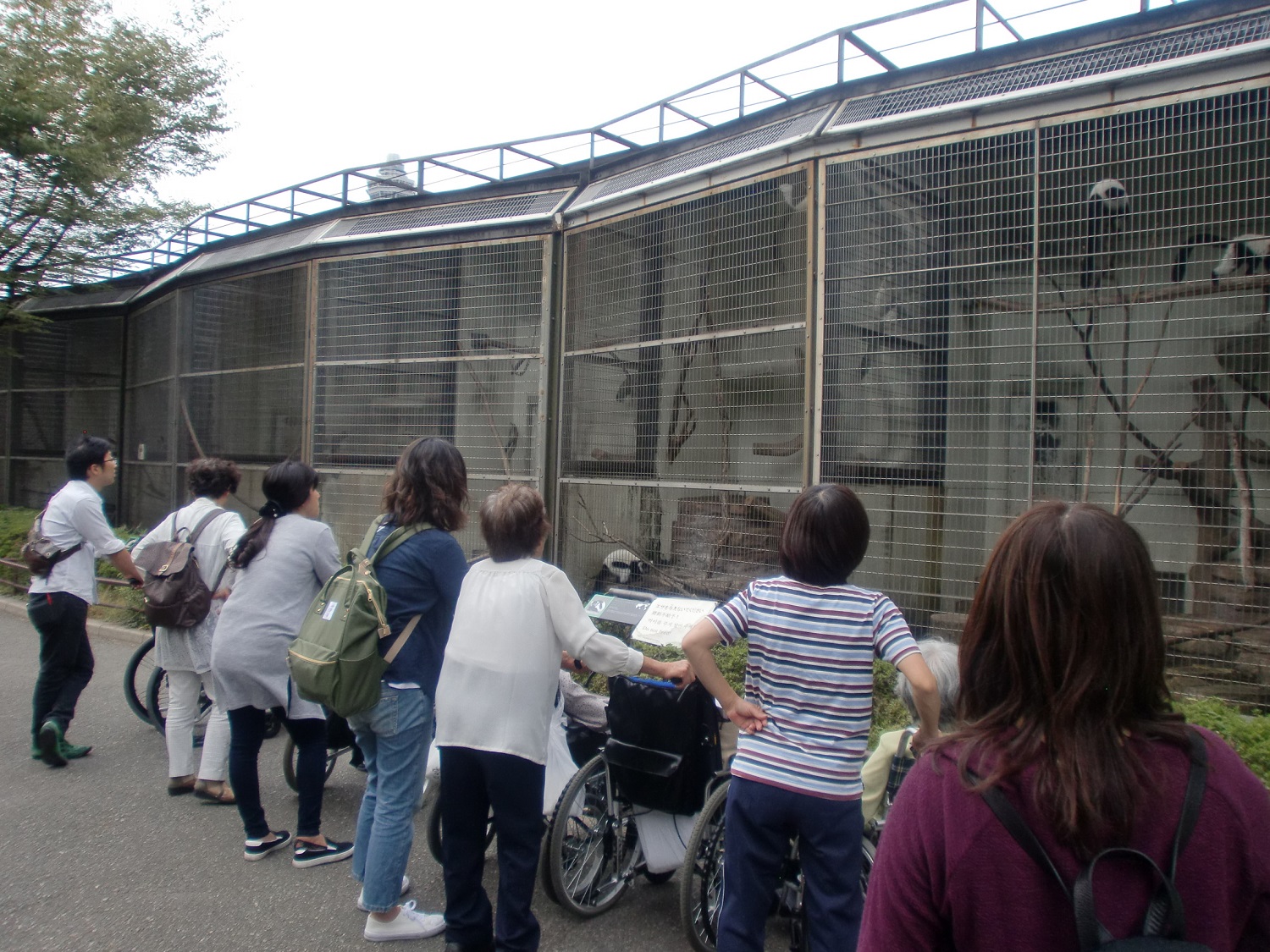 医療福祉生活協同組合 おおさか|グループホーム野江ゆおびか