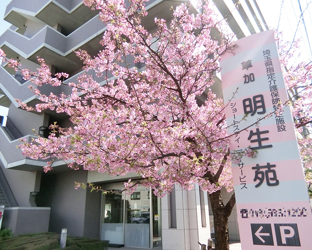 株式会社明昭|草加明生苑（デイサービス）