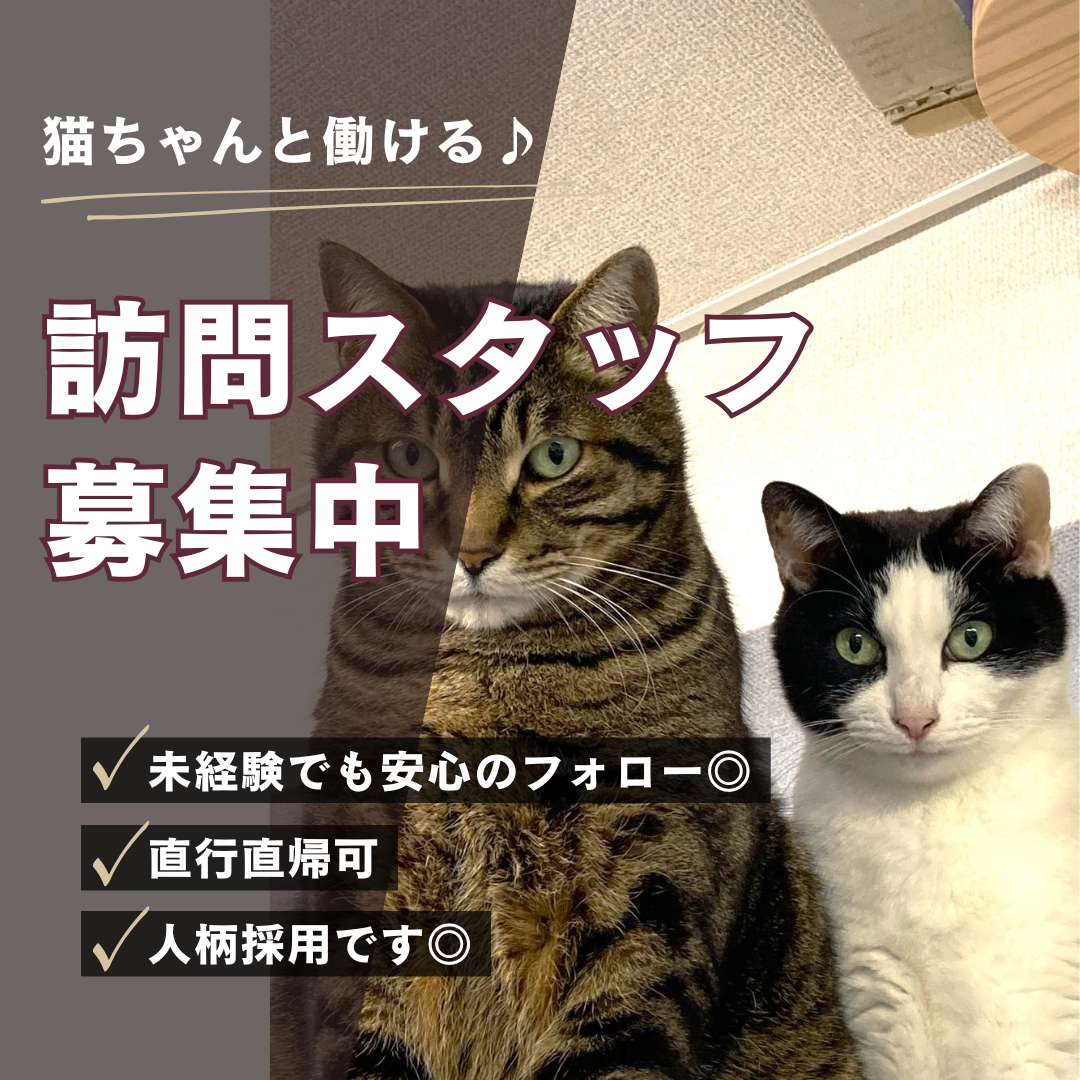 山王ケアサポート合同会社／山王ヘルパーセンター中央