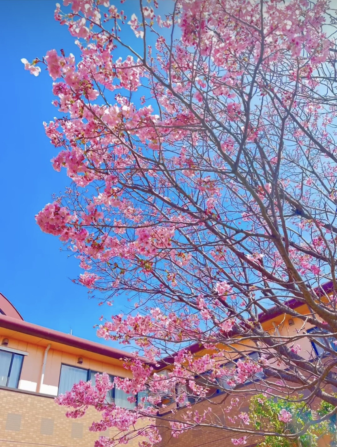 医療法人光陽会／横浜いずみ　介護老人保健施設