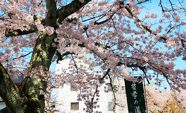 ヤマト株式会社／ニングルの森 北白川