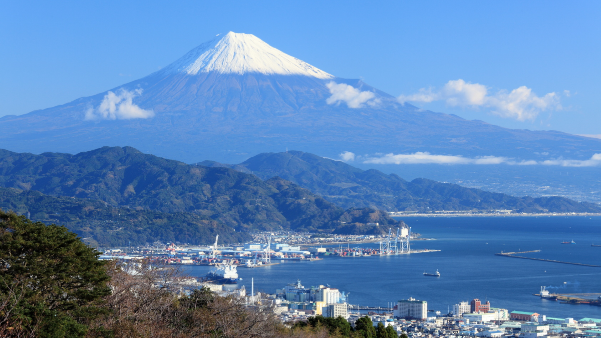 11月4日は何の日？ | 雑学とクイズで脳トレ・高齢者レク