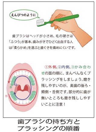 歯ブラシの持ち方とブラッシングの順番